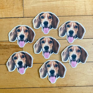 May include: Seven brown and white beagle dog stickers with pink tongues sticking out. The stickers are on a light brown wood surface.
