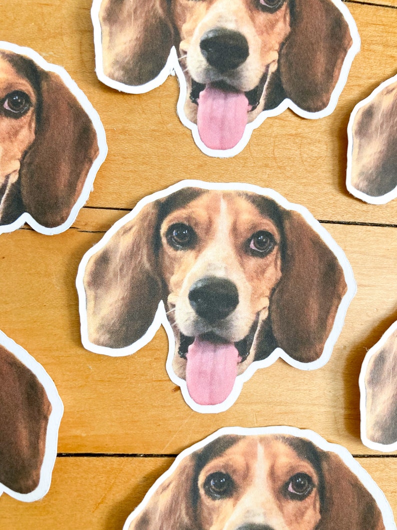 May include: Five printed images of a beagle dog's face with a pink tongue sticking out. The images are on a light brown wooden surface.