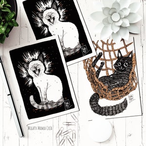 3 cartes postales au choix ( Lot 3 - 5 - 10 )