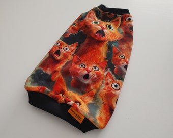 Vêtements pour chats Sphynx vêtements chemise haut XS S M L XL haute qualité oeko tex standart