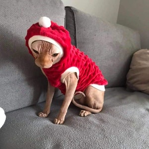 Santa Claus hoodie, Christmas clothing for cat, Sphynx, Devon rex, holiday cat clothes