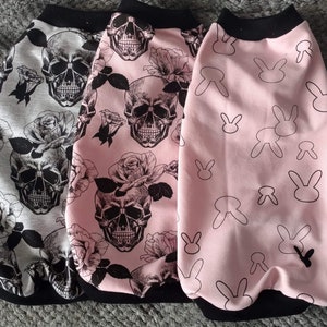 Vêtements pour chats Sphynx vêtements chemise haut XS S M L XL taille haute qualité