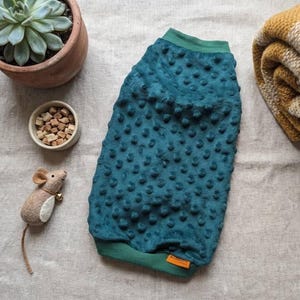May include: Teal dog sweater with a textured, dotted pattern and green trim. A small, felt mouse toy with a bell, a succulent in a terracotta pot, a small bowl of treats, and a rolled-up blanket are also in the image.