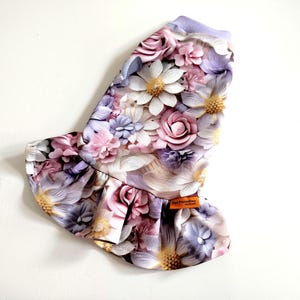 dress for cat, Sphynx clothes, Devon rex clothing