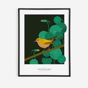 Stampa artistica minimalista di un usignolo, poster di un uccello, illustrazione botanica, regalo per gli amanti degli uccelli, regalo per gli amanti della natura. Elegante stampa artistica di un uccello, 12 x 16 pollici.