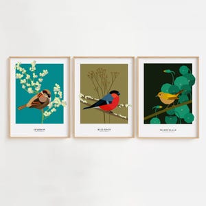 Conjunto de tres elegantes pósteres de aves, impresiones artísticas minimalistas con aves, regalo para amantes de las aves, pósteres botánicos de 30 x 40 cm (sin marco)