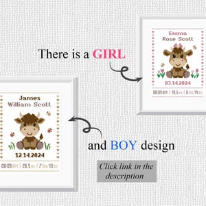Pu&ograve; includere: Due ricami a punto croce incorniciati che raffigurano un vitello marrone e bianco con accenti rosa e marroni. Il design per la bambina ha un fiocco rosa sulla testa del vitello e il design per il bambino ha un fiocco marrone. Entrambi i design includono il nome del bambino, la data di nascita, l'ora, la lunghezza e il peso.