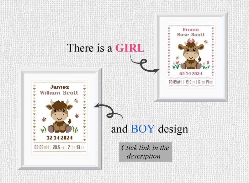 Pu&ograve; includere: Due ricami a punto croce incorniciati che raffigurano un vitello marrone e bianco con accenti rosa e marroni. Il design per la bambina ha un fiocco rosa sulla testa del vitello e il design per il bambino ha un fiocco marrone. Entrambi i design includono il nome del bambino, la data di nascita, l'ora, la lunghezza e il peso.