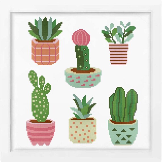 Succulent Plant Chart