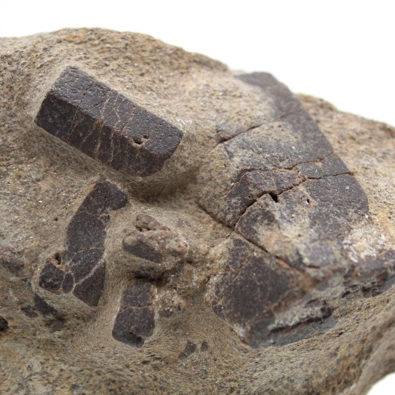 staurotide de Bretagne sur Gange 160Gr 120mm France