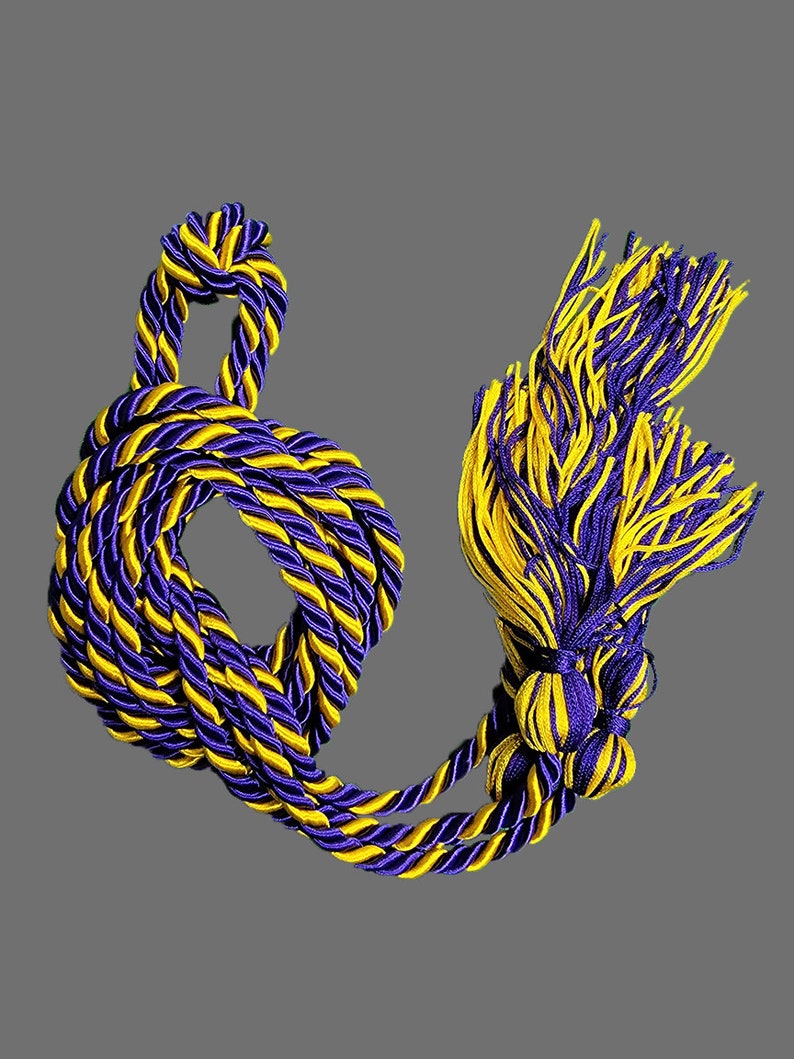 Graduation Cord / Honor Cords Intertwined Purple and Gold Etsy