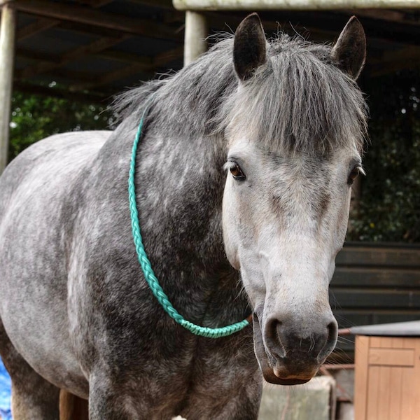 Tour de cou fait main pour cheval | Cordéo sans pampilles | Tour de cou équestre | Couleur personnalisée | Liberté d'équitation sans équipement personnalisée