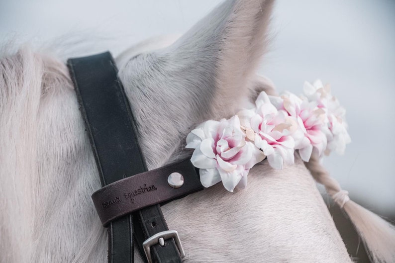 Custom Flower Browband Equestrian, White Pink Mix Flowers, Floral Horse Tack, Horse Rider Present, Equestrian Gift, Equine Photography image 1