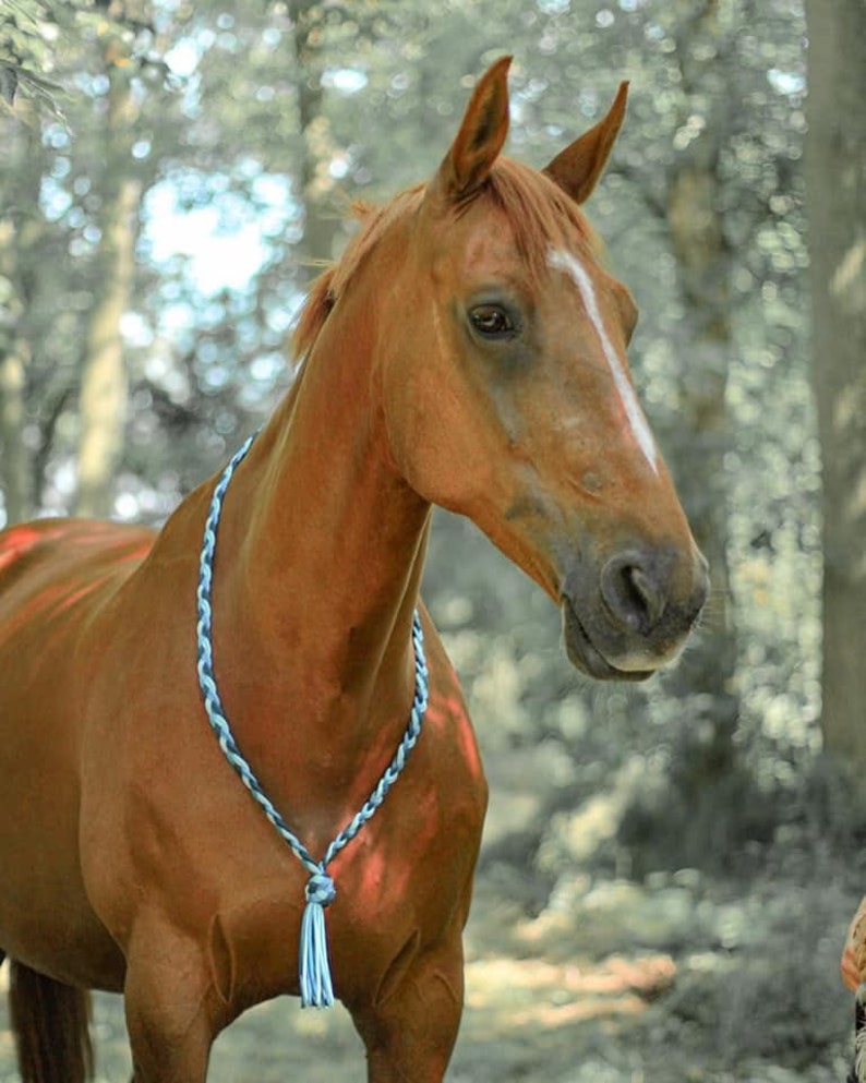 Handmade 3 Colour Custom Neckrope Neck Rope Equestrian Neck Etsy