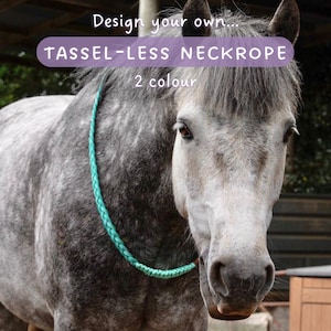 Handmade Tassel-less Horse Neckrope: Custom 2 Colour Paracord Tackless Riding Neckstrap