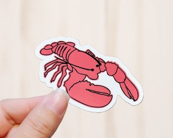 Lobster Sticker, Vinyl Decal, Vinyl Sticker