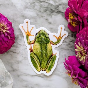 Pacific Tree Sticker (top view clear vinyl)