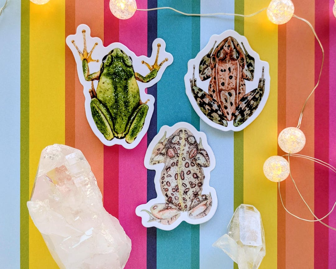 Frog Sticker Set of 3 - Etsy