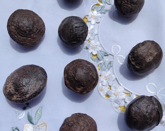 Moqui Marbles - 4-6cm