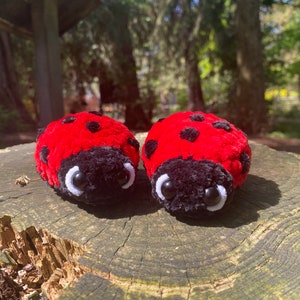 Ladybug Crochet Plushie