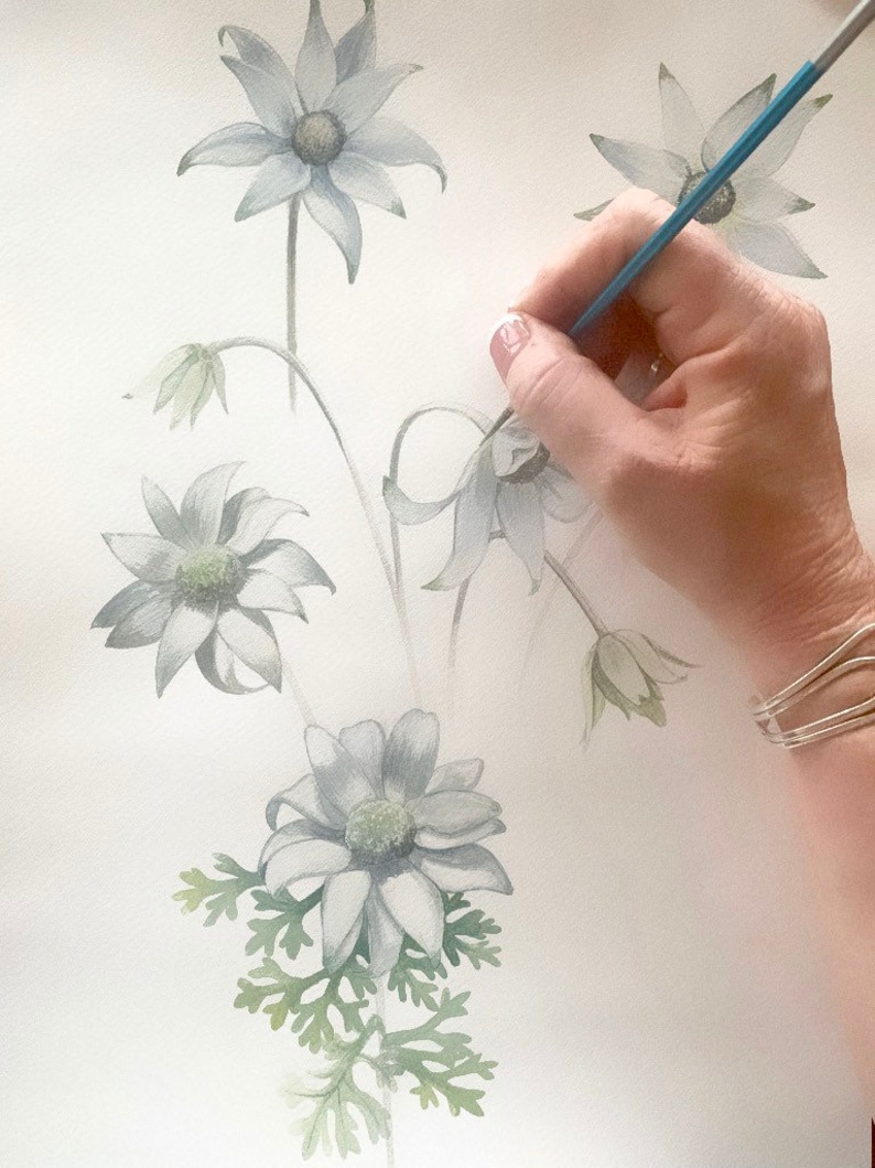 Flannel Flowers Print by Debra Meier Art, Native Art Print, Flower — free download