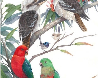 Kookaburra, King Parrots and Fairy Wrens print by Debra Meier Art, Australian native birds print artwork