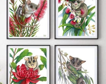 May include: Four framed watercolor paintings of sugar gliders on different floral branches. The gliders are depicted in various poses, with some looking directly at the viewer. The flowers are in shades of pink and red.