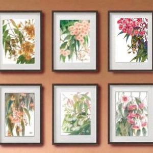 May include: Six framed botanical prints featuring different types of flowers in shades of pink, white, and yellow. The prints are arranged in a grid pattern on a brown wall.