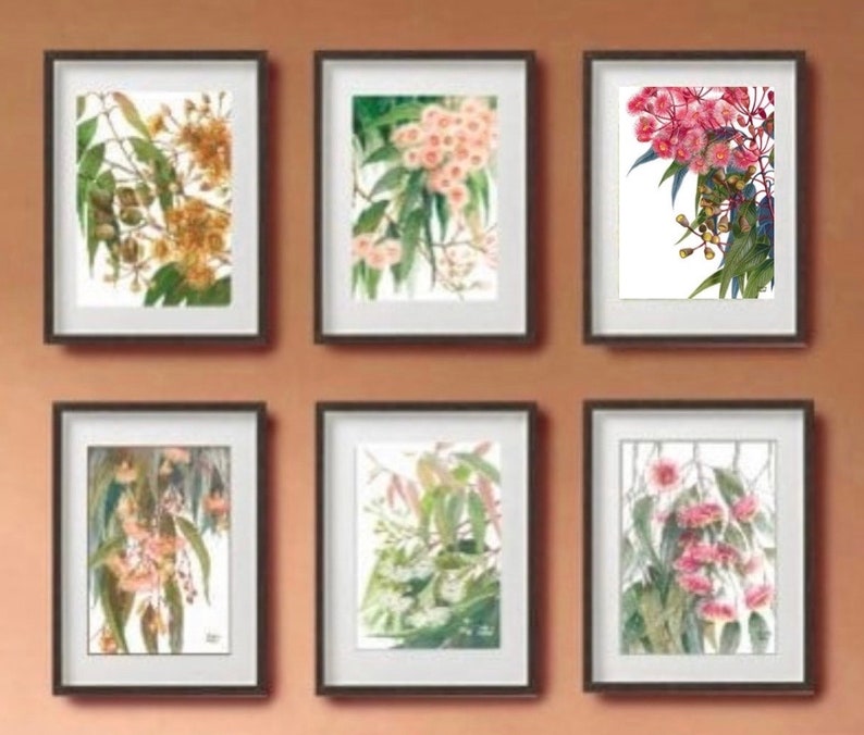May include: Six framed botanical prints featuring different types of flowers in shades of pink, white, and yellow. The prints are arranged in a grid pattern on a brown wall.