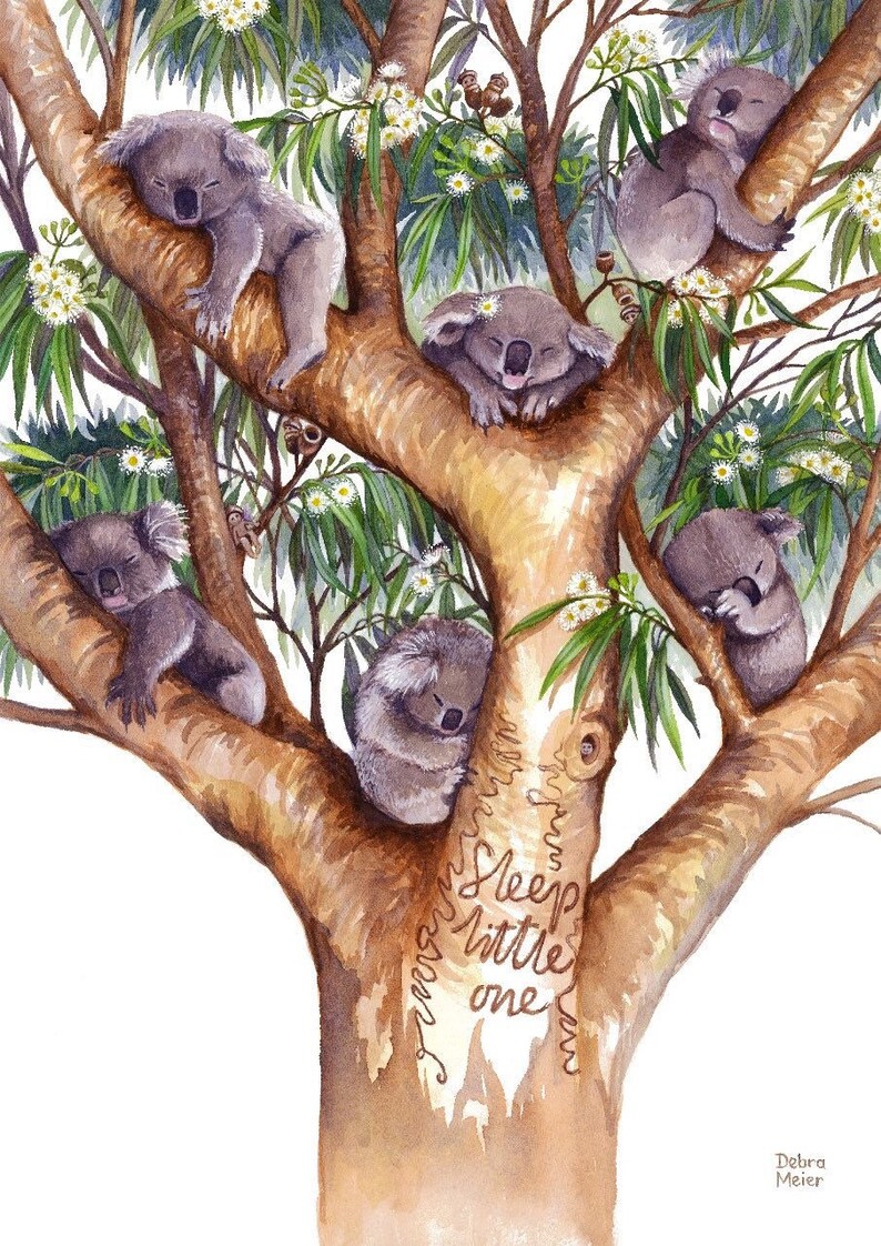 Koalas Sleeping White Gumblossoms Gumblossom Print Gumtree Etsy Australia