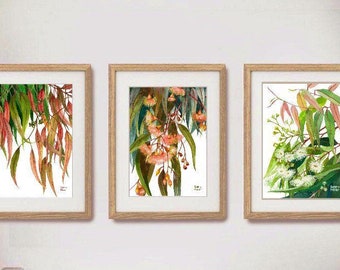 Gumleaves Trio of prints by Debra Meier Art, Australian native art prints, Triple set art prints, Gumleaf watercolour prints, Artwork gift