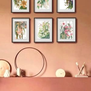May include: Six framed botanical prints of pink and white flowers with green leaves on a peach-colored wall. The prints are arranged in two rows of three.