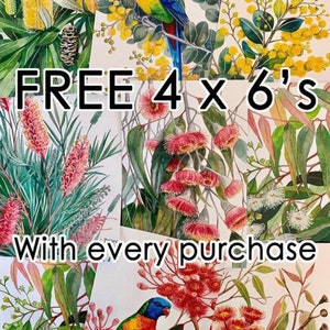 May include: Four 4x6 inch prints of Australian flora and fauna, including a red and blue lorikeet, a yellow wattle, and pink bottlebrush flowers. The text "FREE 4 x 6's With every purchase" is superimposed on the image.