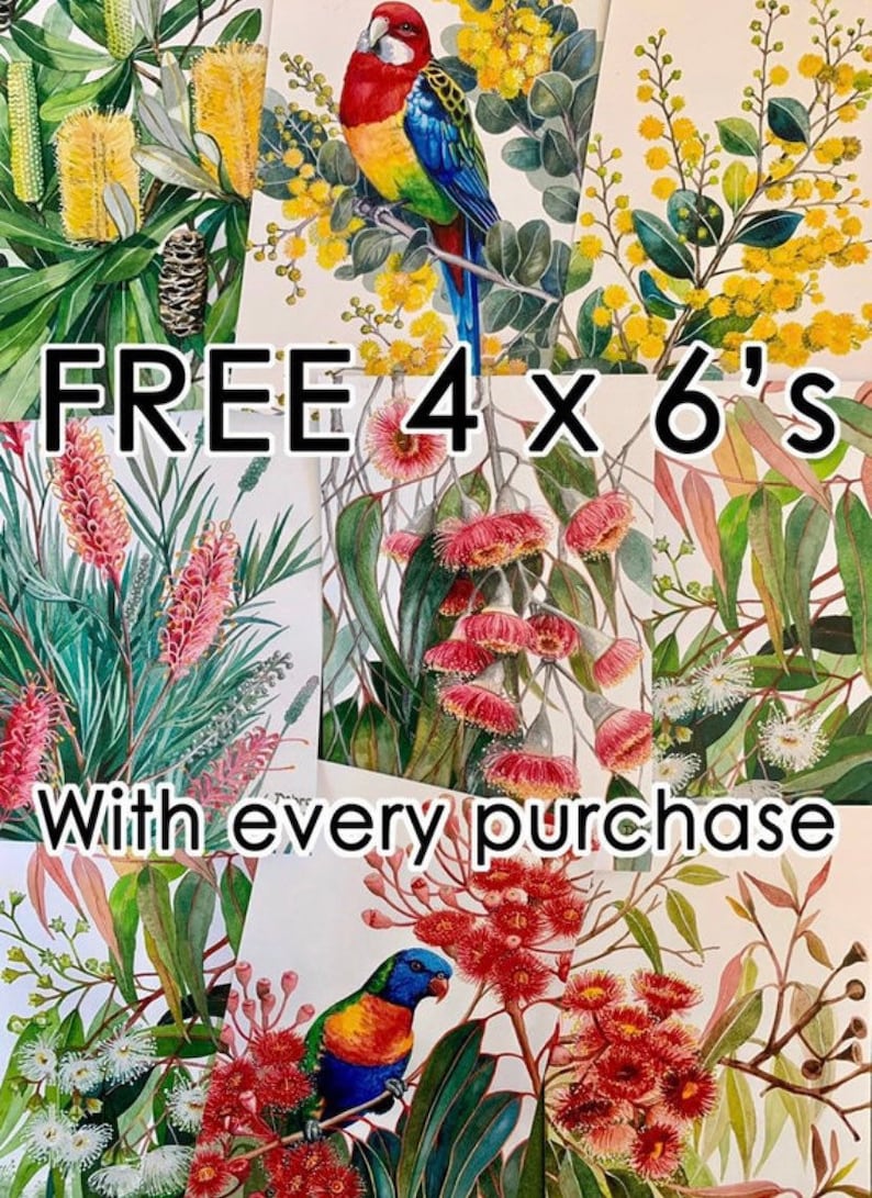 May include: Four 4x6 inch prints of Australian flora and fauna, including a red and blue lorikeet, a yellow wattle, and pink bottlebrush flowers. The text "FREE 4 x 6's With every purchase" is superimposed on the image.