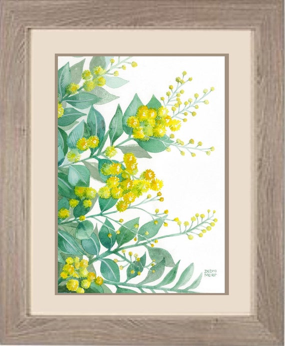 Australian Wattle Wattle Wall Art Australian Native Art Etsy