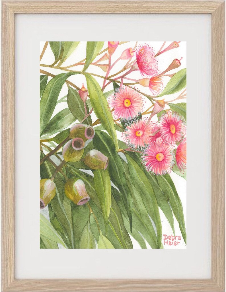 Pink Gumblossom Print Gumtree Flower Wall Art Gum Nuts Etsy