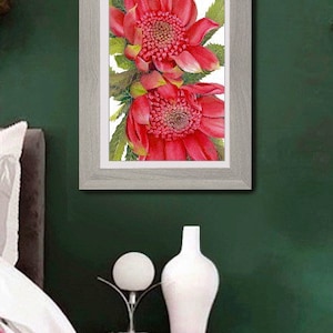 Waratahs Red Two print by Debra Meier Art, Australian native art print, Native flower print, Australian flower, Artwork gift image 5