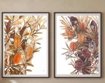 May include: Two framed prints of botanical illustrations featuring Australian birds. The left print shows white cockatoos in a cluster of orange and brown banksia flowers. The right print shows black cockatoos in a cluster of orange and brown banksia flowers.