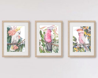 May include: Three framed watercolor paintings of pink and white cockatoos perched on branches with yellow and pink flowers. The cockatoos are wearing decorative head feathers.
