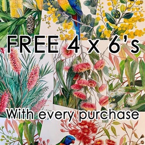 May include: Four 4x6 inch prints of Australian flora and fauna, including a red and yellow bird, pink flowers, and white flowers. The text "FREE 4 x 6's with every purchase" is displayed on the image.