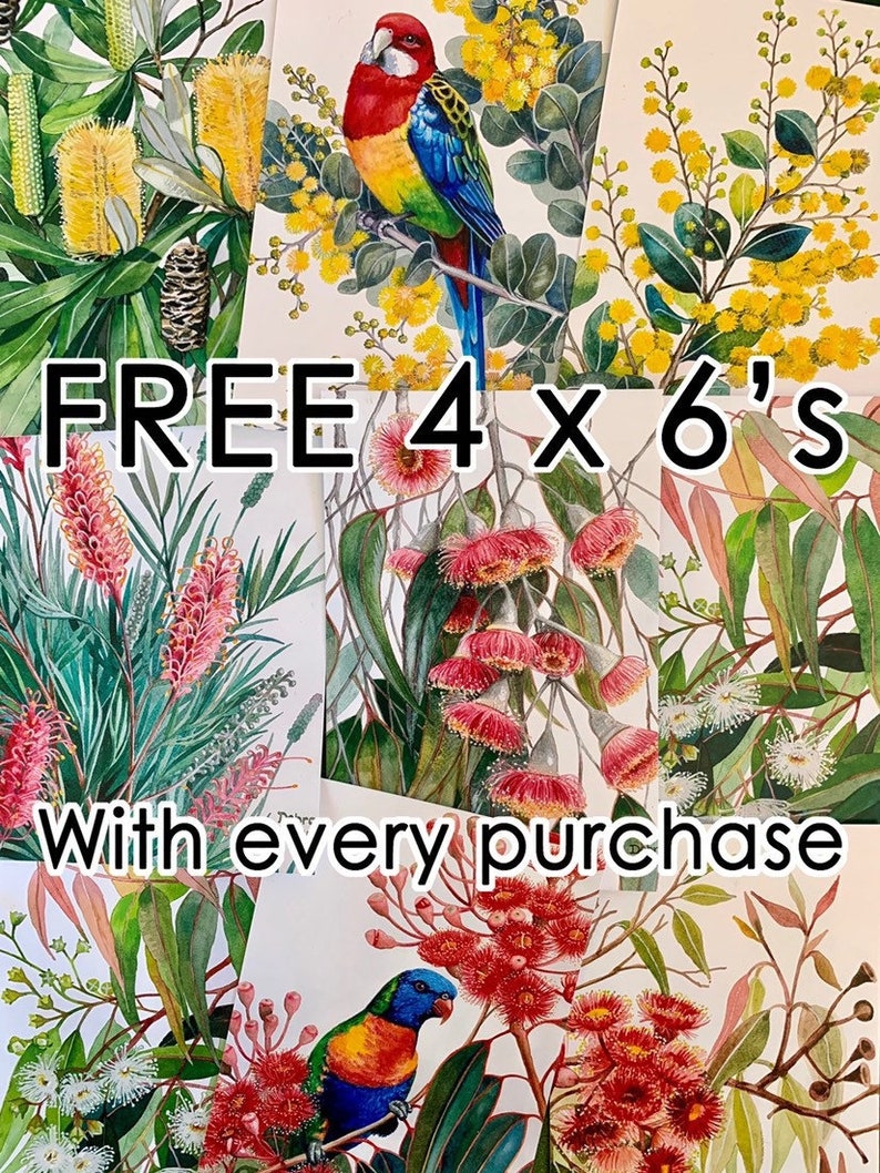 May include: Four 4x6 inch prints of Australian flora and fauna, including a red and yellow bird, pink flowers, and white flowers. The text "FREE 4 x 6's with every purchase" is displayed on the image.