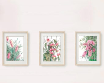 Pink Native Flower Trio by Debra Meier Art, Australian native art print, Triple set art prints, Set of native flowers, Artwork gift