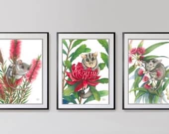 Small Marsupial Trio prints by Debra Meier Art, Australian native art, Feathertail Glider, Sugar Glider, Western Pygmy Possum,Artwork gift