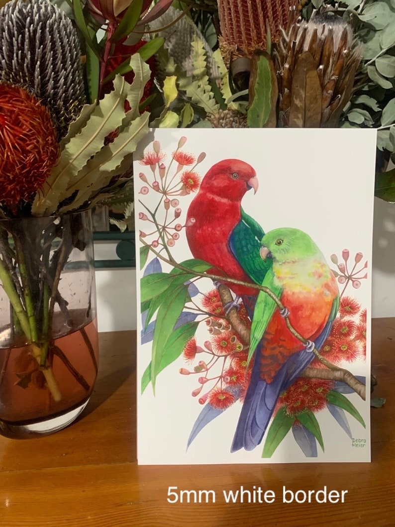 King Parrot pair by Debra Meier Art, Australian native bird print, Red gumblossoms print, Artwork gift image 9