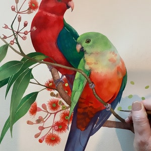 King Parrot pair by Debra Meier Art, Australian native bird print, Red gumblossoms print, Artwork gift image 7