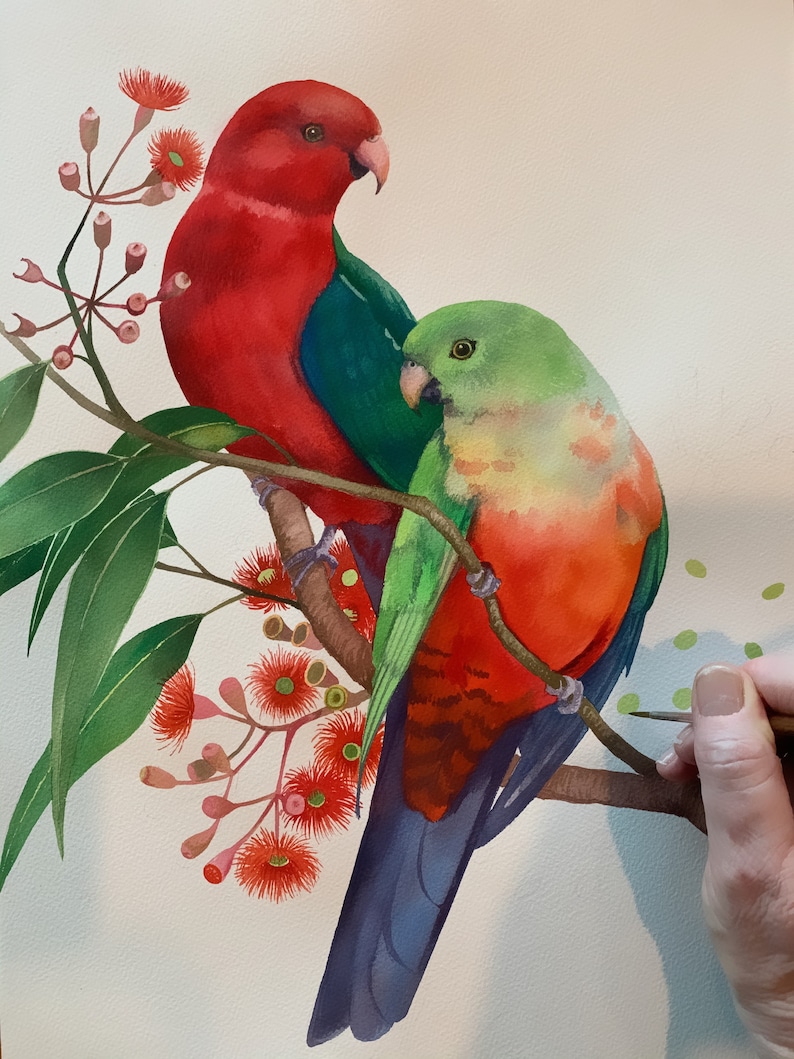 King Parrot pair by Debra Meier Art, Australian native bird print, Red gumblossoms print, Artwork gift image 7