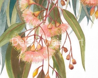Soft Pink Gumblossoms art print by Debra Meier Art, Australian native print, Gumblossom print, Eucalyptus leaf art, Artwork gift