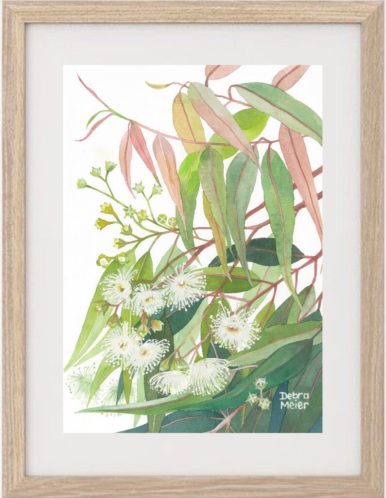 Gumnuts and Gumleaves Australian native art print Gumblossom Etsy