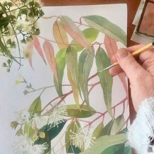 May include: A watercolor painting of a eucalyptus branch with white flowers and green leaves. The painting is on a white background and is being painted by a person's hand holding a paintbrush.