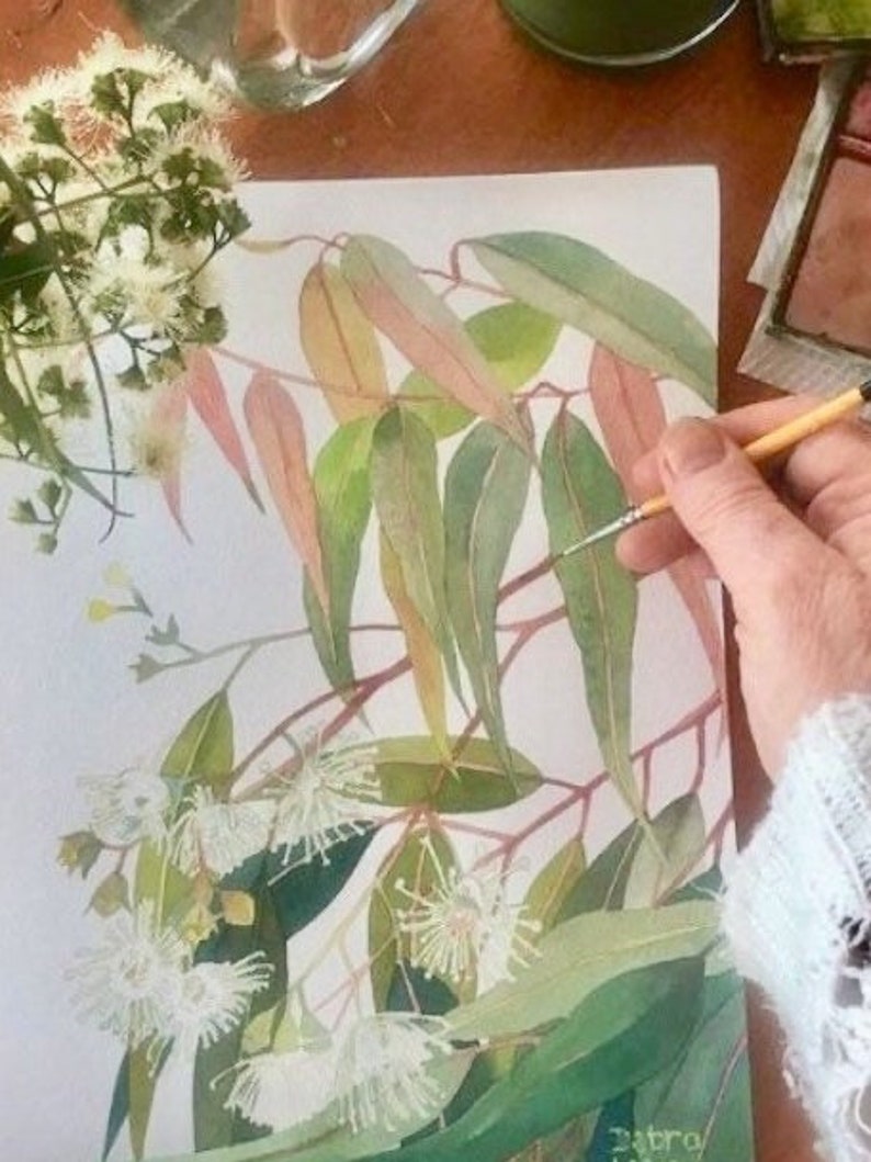 May include: A watercolor painting of a eucalyptus branch with white flowers and green leaves. The painting is on a white background and is being painted by a person's hand holding a paintbrush.